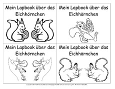 Titelseiten-Eichhörnchen-Lapbook-D.pdf